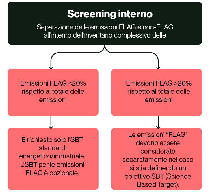 diagramma di flusso dello screening flag sbti