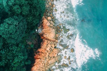 foreste e acqua