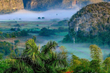 forests, mountains and farms