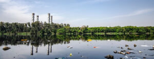 lake with waste