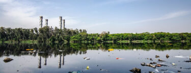 lake with waste