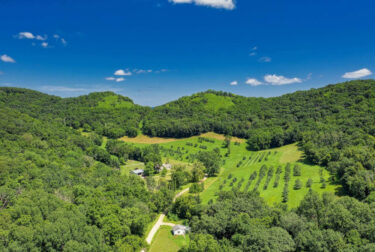 a farm surrounded by a forest