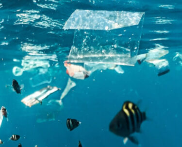ocean plastic