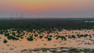 qatar uae 1