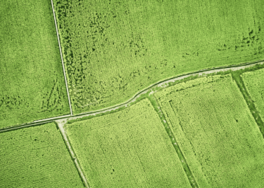 aerial view of agricultural land