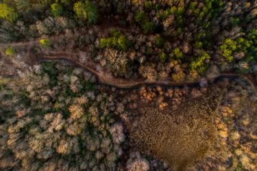 an aerial view of a forest in autumn