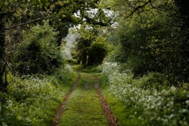 5 juni | ontbijtsessie | wat zijn science based targets en hoe pas je ze toe in jouw esg-strategie binnen het kader van de csrd? 2 nature