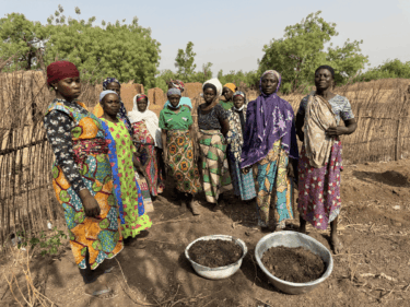 het eu omnibuspakket over duurzaamheidrapportage 3 carbon credtis project ghana