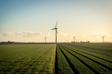 wind power field