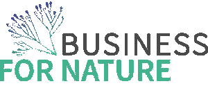 bfn logo rgb 1 1