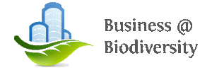 logo bb 1 1 1