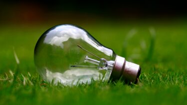 green light bulb
