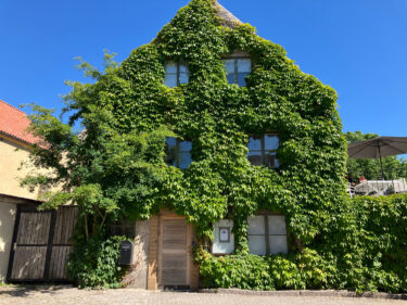 visby hus