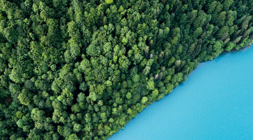 aerial view of forest and lake