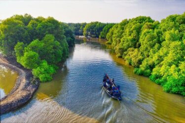 rowing down a river