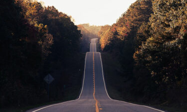 International Sustainability Standards Board (ISSB) a road through a forest