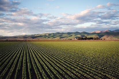 Conducting ESG Assessment for a Food Brand Farm