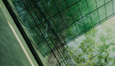 green trees around a building