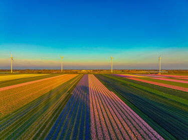 Netherlands