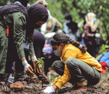 people planting a tree