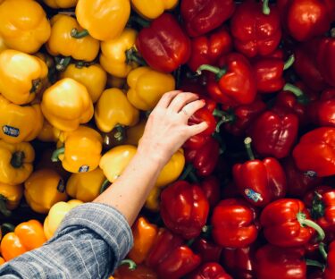 person picking vegetables