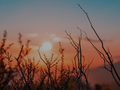 Europe's Heatwave Economy sunset