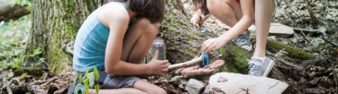 environmental education