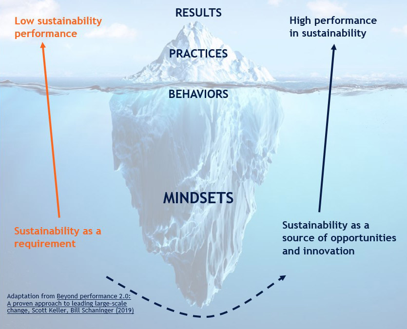sustainability mindsets2
