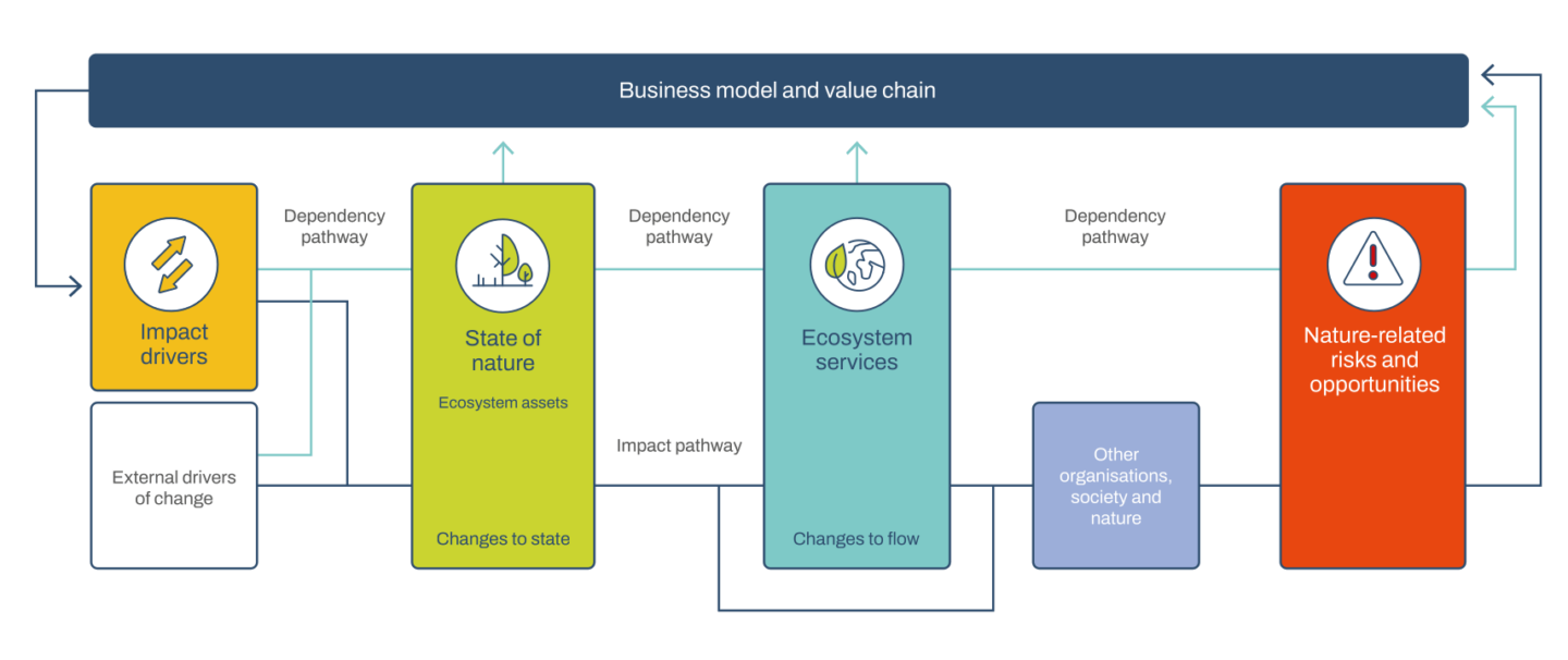TNFD Guidance: Nature-Related Financial Disclosures