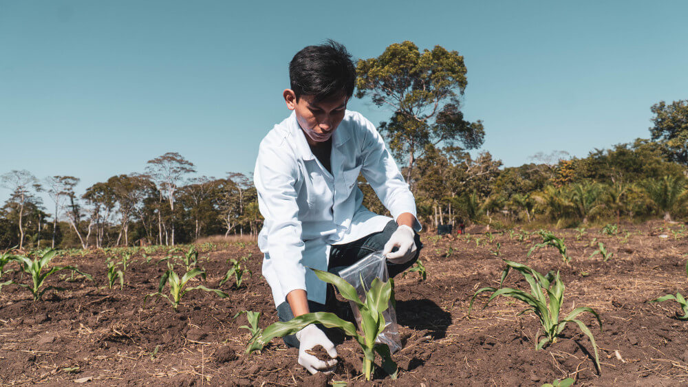 biochar