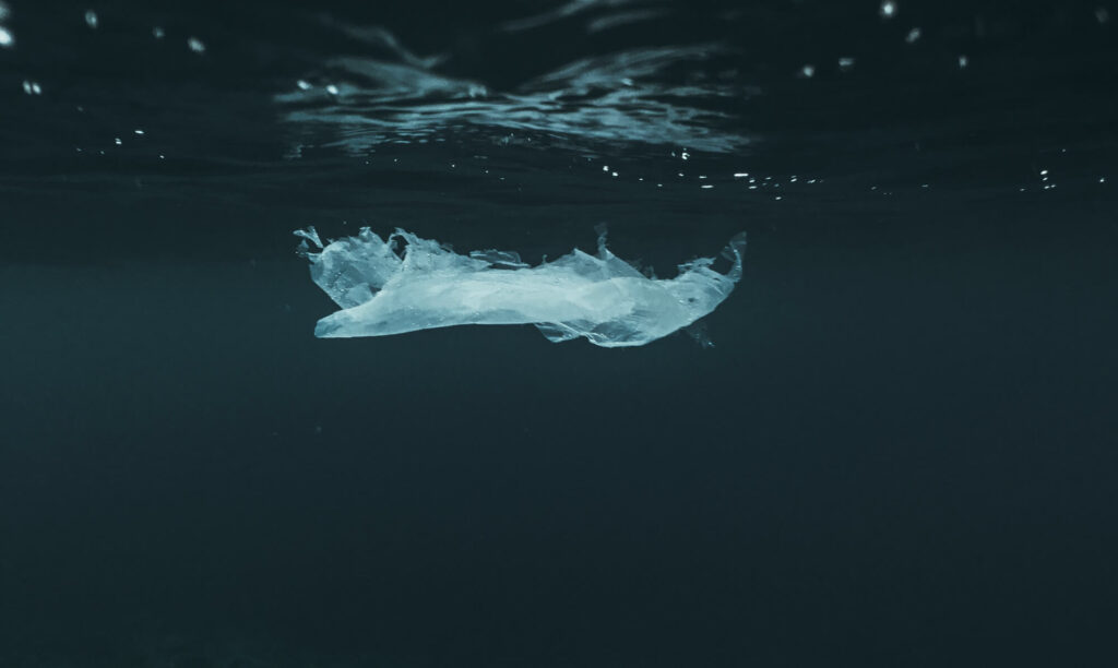 plastics in the ocean