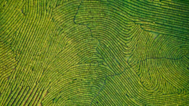 agriculture thumbprint