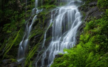 European Sustainability Reporting Standards