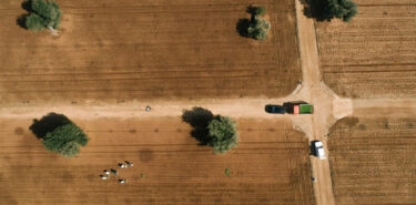 aerial shot of a farm field