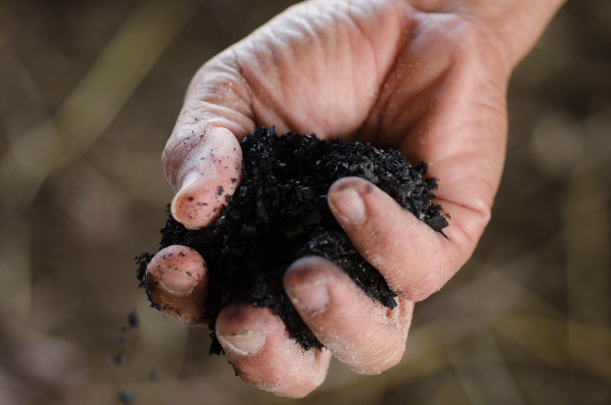 biochar in someones hand