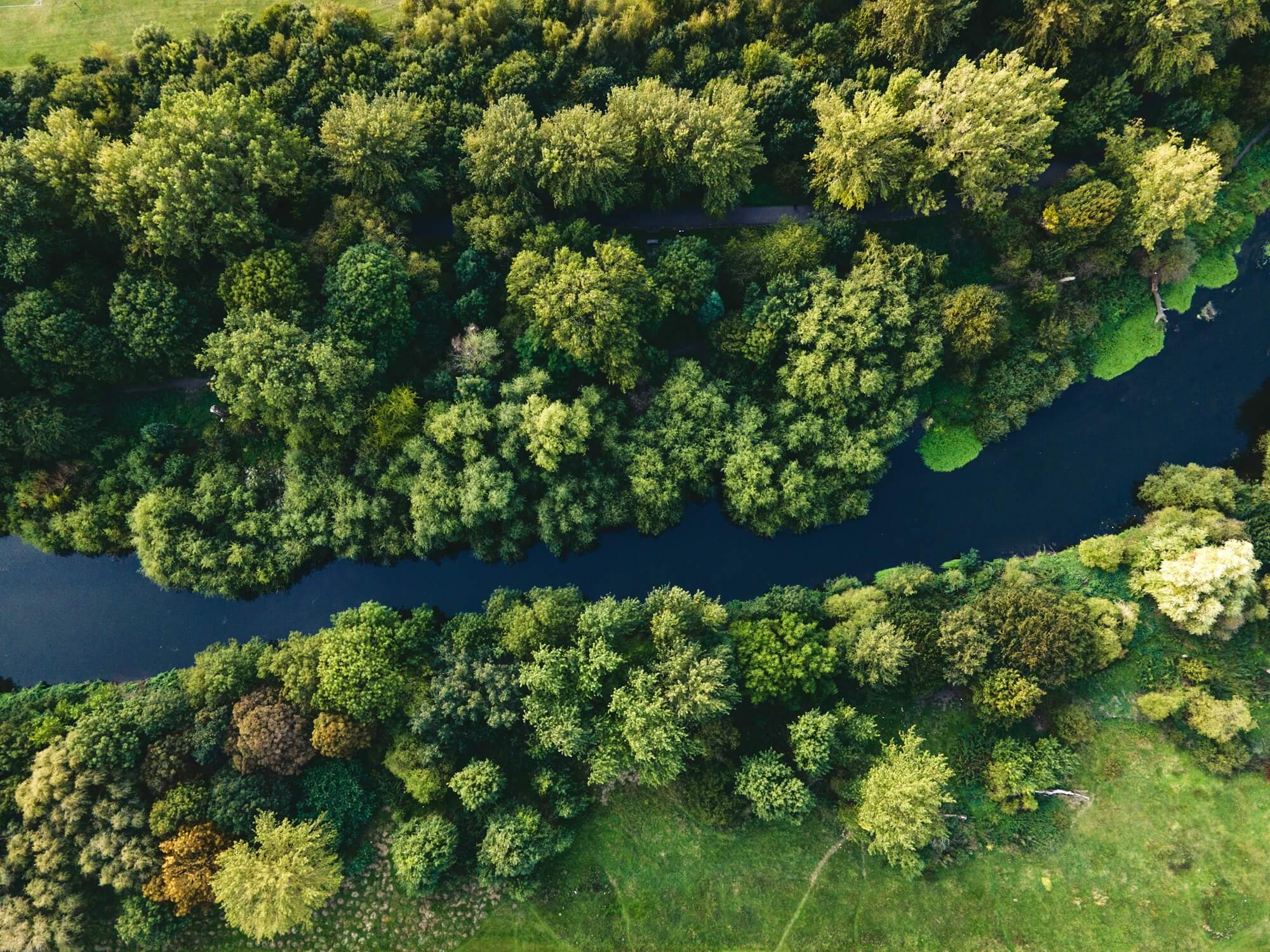 CSRD: What Next If You Are Out of Scope? River