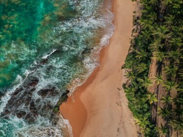 How to Streamline ESG Data Collection Ocean