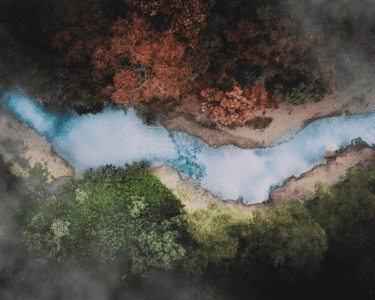 Net Zero & Decarbonisation a river surrounded by trees