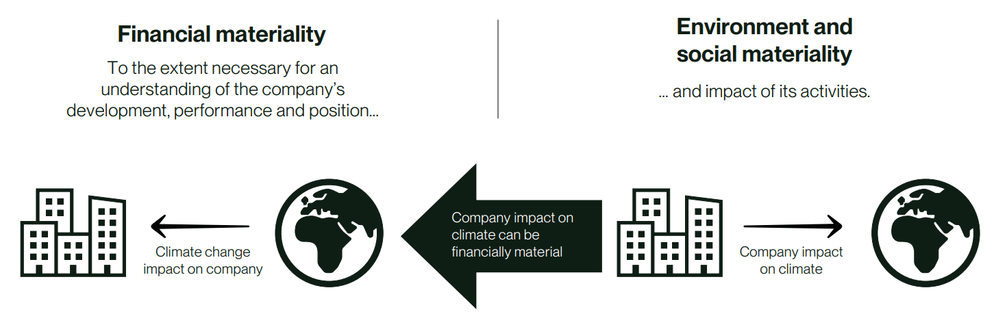 visualisation of the concept of double materiality