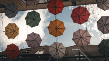 We Can Halve Emissions by 2030 If We Act Now dublin ireland