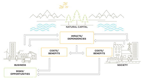 Accounting for the Value of Nature and Biodiversity image 2