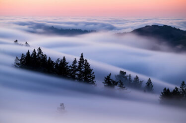 Private Equity Decarbonisation Playbooks Trees through clouds