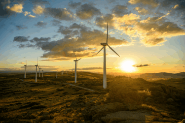 Carbon Credits & Projects wind turbines during a sunset