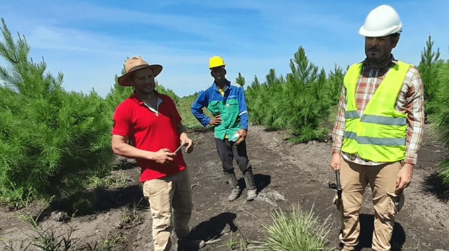 afforestation program in Paraguay