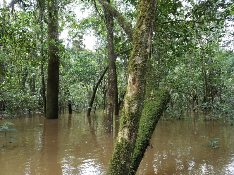 REDD+ Russas Project, Brazil REDD+ Project, Brazil