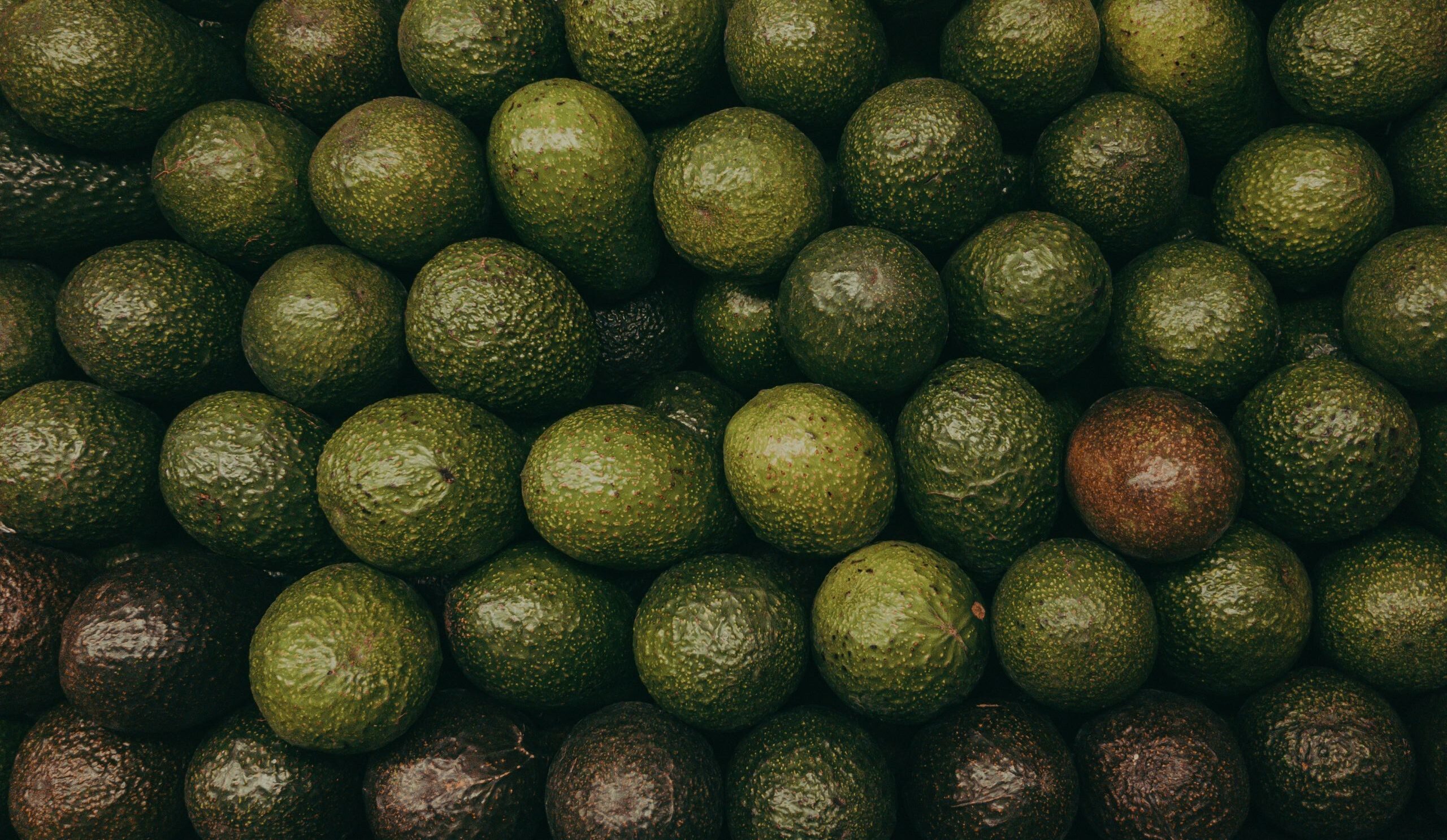 Avocados