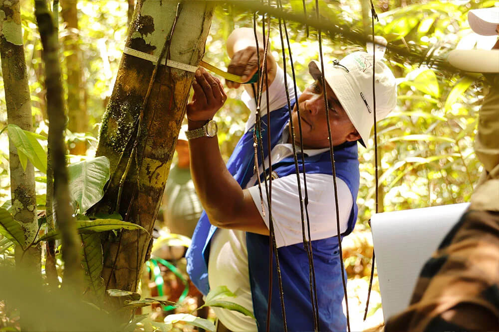 Mataven REDD+ Project REDD+ project Colombia