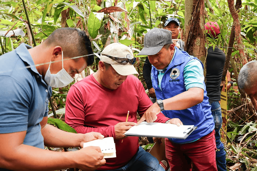 Mataven REDD+ Project REDD+ project Colombia
