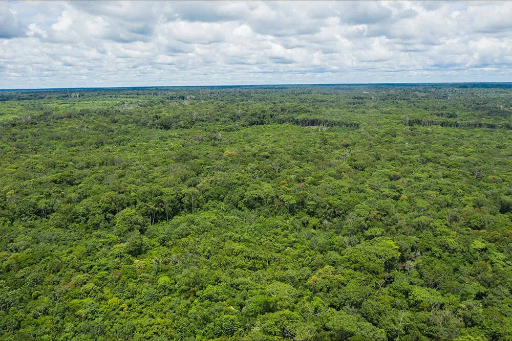 Mataven REDD+ Project REDD+ project Colombia