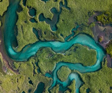 River running through grassland